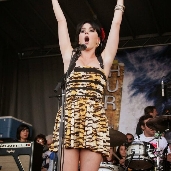 D&G Tiger Print Dress ASO Sharpay Evans & Katy Perry - Picture 6 of 12